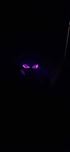 cosplay mask design print with glowing LED eyes in dark environment